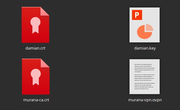 Archivos de cliente OpenVPN